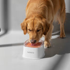 Anti-Splash Water Bowl for Dogs 2L Large Capacity Drinker Floating Drinking Bowls Dog Waterer for Puppy Cat Pet Accessories