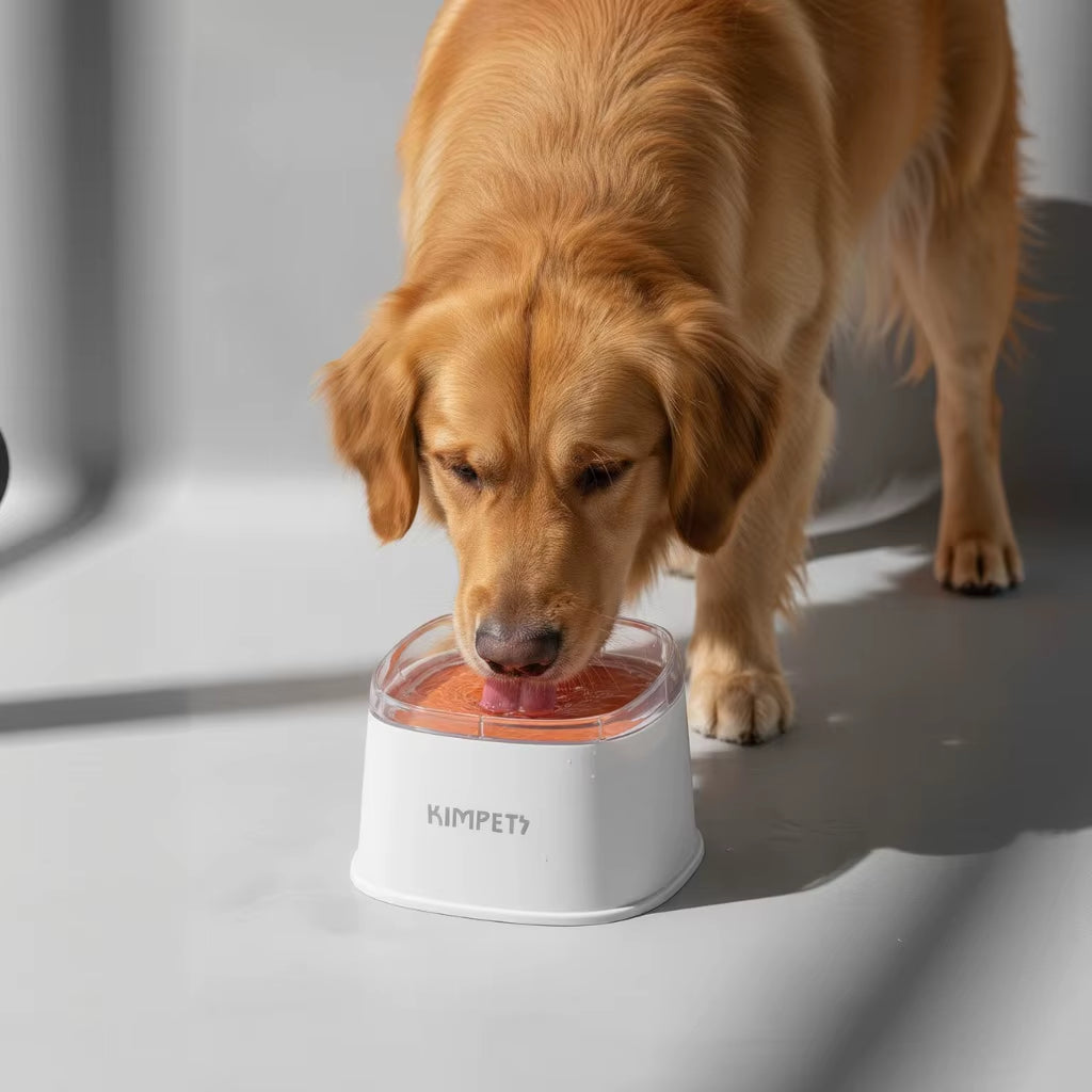 Anti-Splash Water Bowl for Dogs 2L Large Capacity Drinker Floating Drinking Bowls Dog Waterer for Puppy Cat Pet Accessories