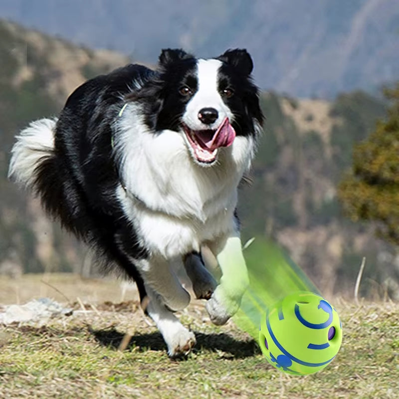Dog Toy Wobble Wag Giggle Ball Getting Dog Attention Toy Fun Giggle Sounds When Rolled or Shaken Pets Know Best as Seen on TV