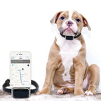 Dog Cat GPS Tracker Pets Anti-Lost Smart Locator Mobile APP Control IP67 Waterproof GPS AGPS WIFI LBS TF Card Positioning Modes