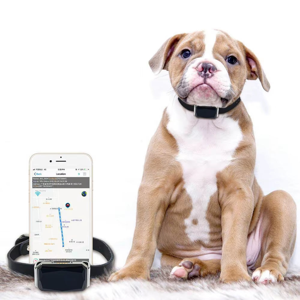 Dog Cat GPS Tracker Pets Anti-Lost Smart Locator Mobile APP Control IP67 Waterproof GPS AGPS WIFI LBS TF Card Positioning Modes